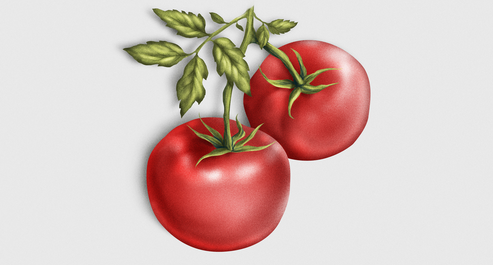 SAARIOINEN_Italia-Lautasella_Carlos-Anguís_tomate